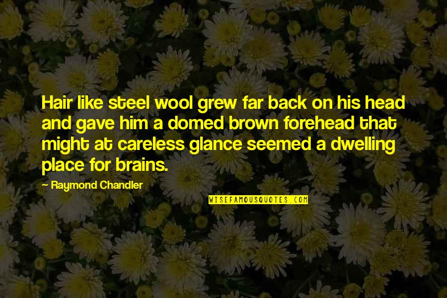 Wool's Quotes By Raymond Chandler: Hair like steel wool grew far back on