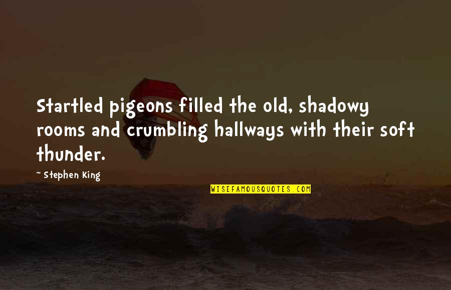 Woolton Golf Quotes By Stephen King: Startled pigeons filled the old, shadowy rooms and Woolton Golf Quotes By Stephen King: Startled pigeons filled the old, shadowy rooms and