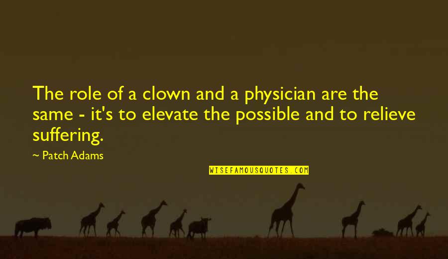 Woosey Fire Quotes By Patch Adams: The role of a clown and a physician Woosey Fire Quotes By Patch Adams: The role of a clown and a physician