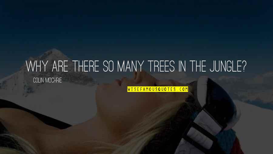 Wooster Group Quotes By Colin Mochrie: Why are there so many trees in the Wooster Group Quotes By Colin Mochrie: Why are there so many trees in the