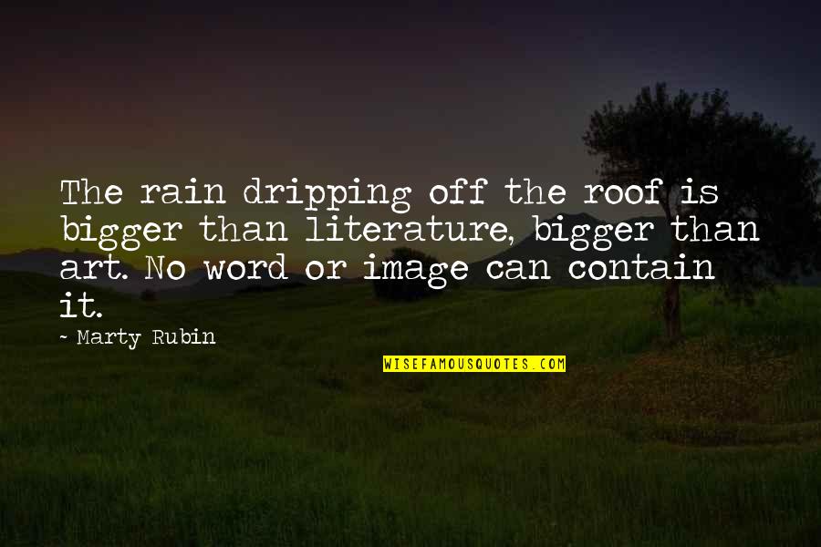 Word Art Quotes By Marty Rubin: The rain dripping off the roof is bigger