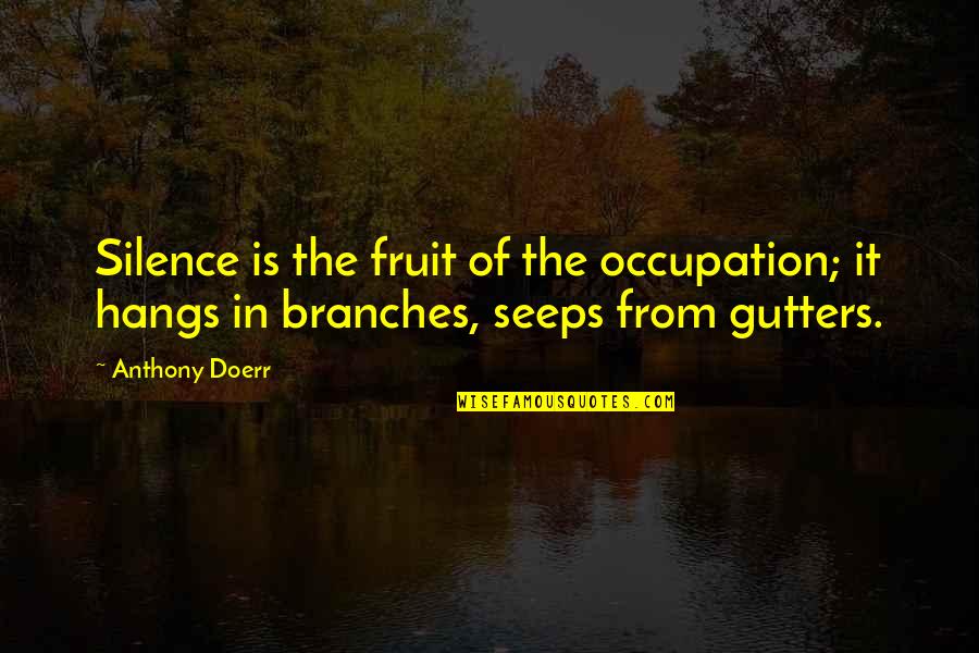 Word Cant Quotes By Anthony Doerr: Silence is the fruit of the occupation; it