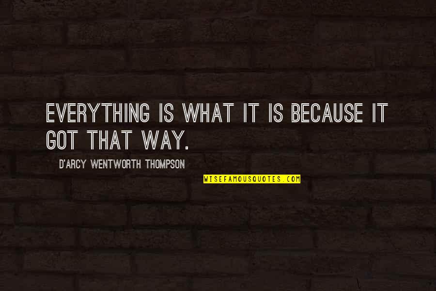 Word Hurt Quotes By D'Arcy Wentworth Thompson: Everything is what it is because it got