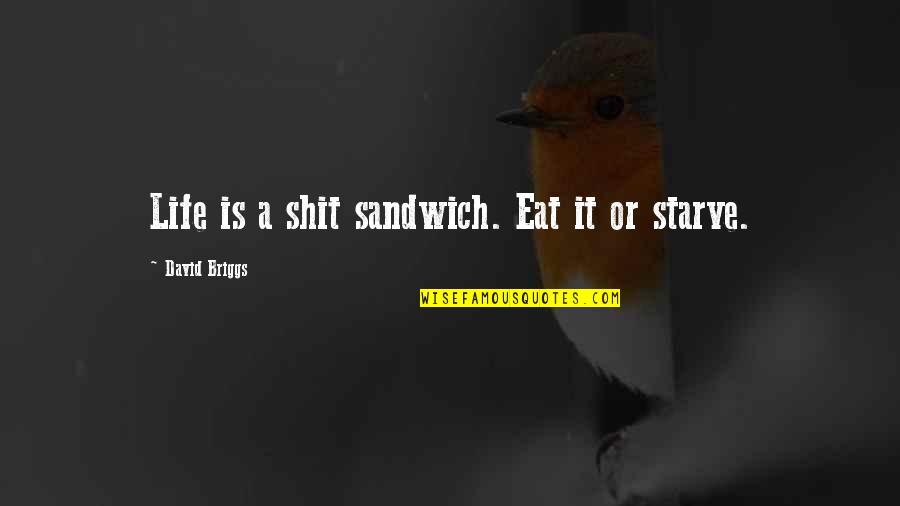 Word Love Being Overused Quotes By David Briggs: Life is a shit sandwich. Eat it or