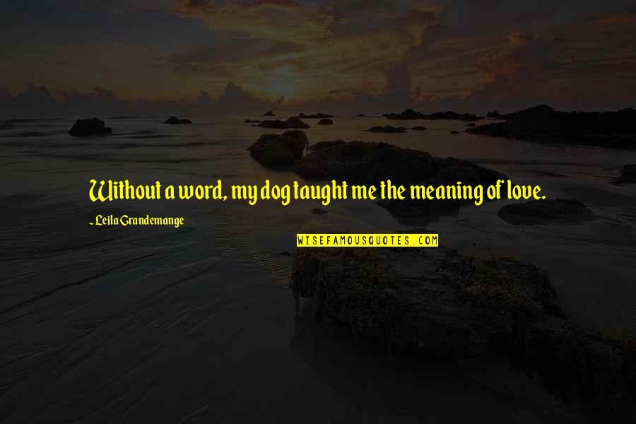 Word Lovers Quotes By Leila Grandemange: Without a word, my dog taught me the