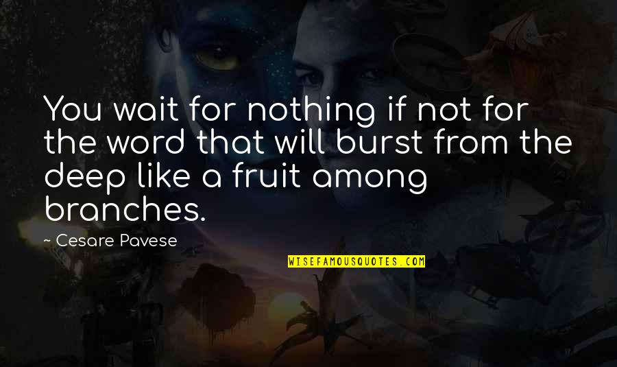 Word Nothing Quotes By Cesare Pavese: You wait for nothing if not for the