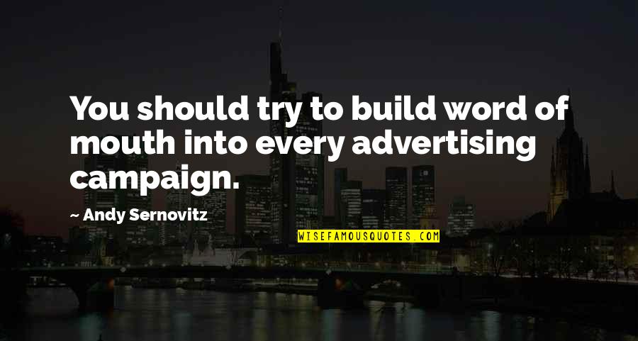 Word Of Mouth Advertising Quotes By Andy Sernovitz: You should try to build word of mouth