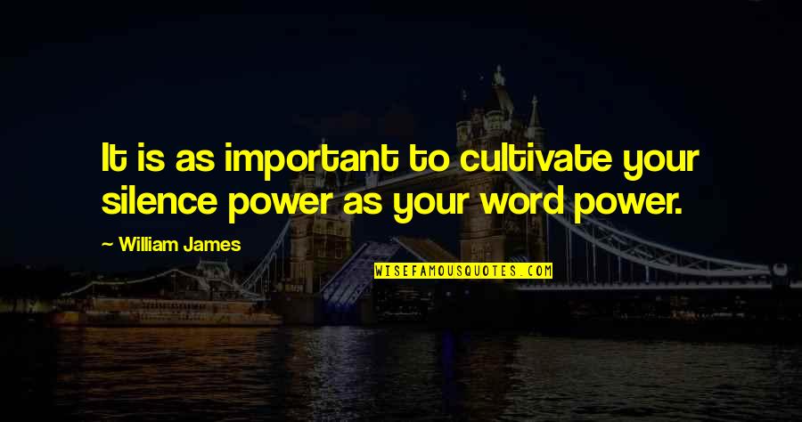 Word Power Quotes By William James: It is as important to cultivate your silence