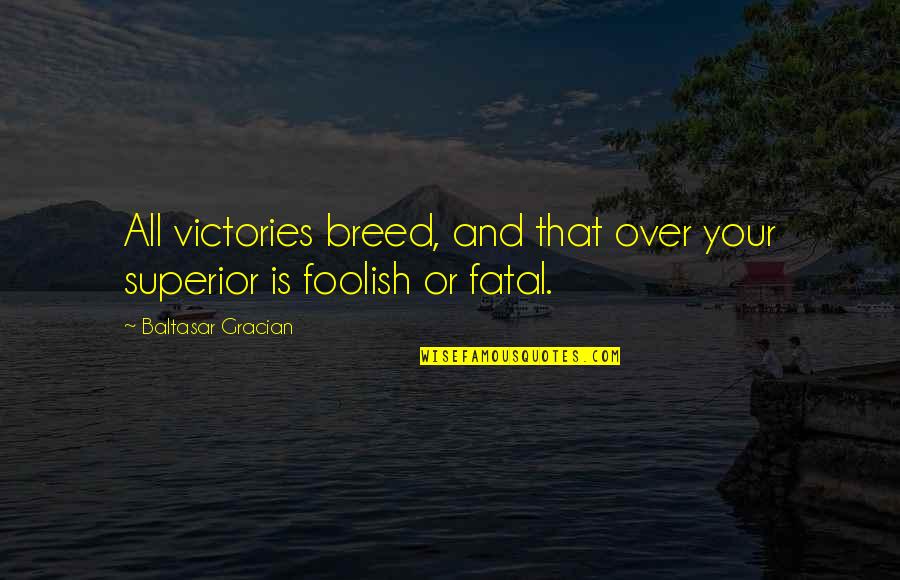 Word Processing Quotes By Baltasar Gracian: All victories breed, and that over your superior