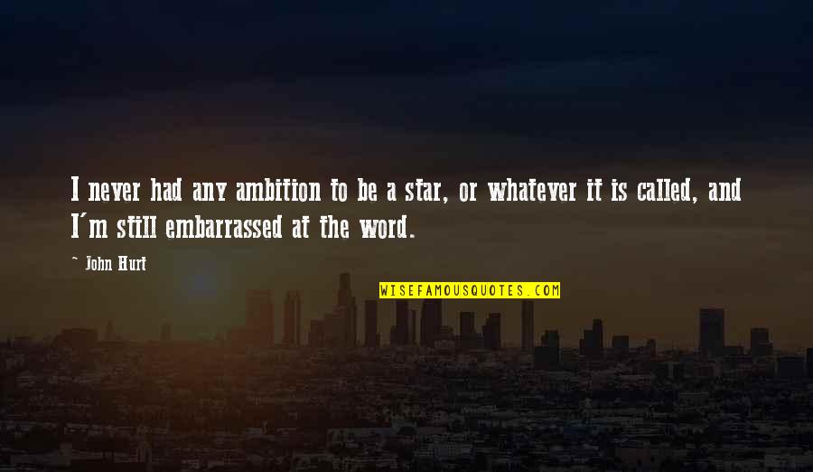Word That Hurt Quotes By John Hurt: I never had any ambition to be a