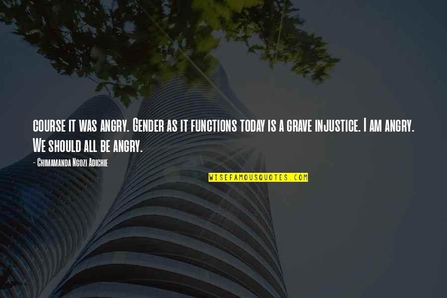 Word That Rhyme With Dad Lyrics Quotes By Chimamanda Ngozi Adichie: course it was angry. Gender as it functions