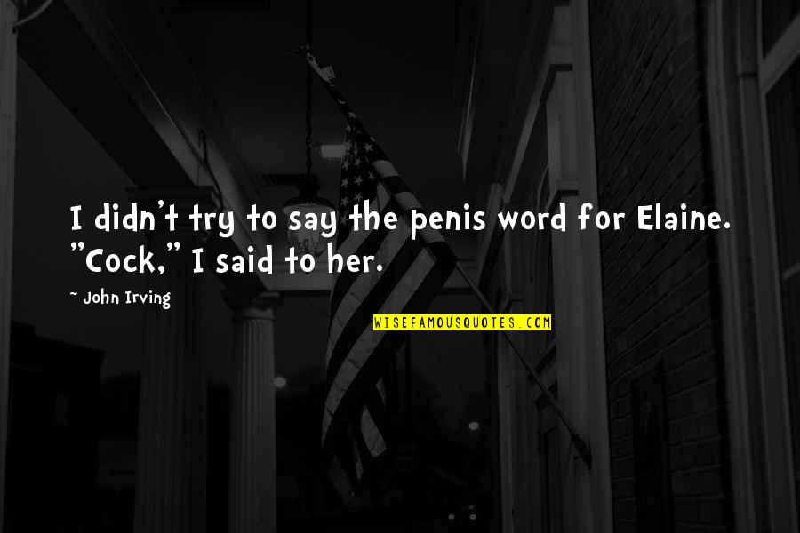 Word To Say Quotes By John Irving: I didn't try to say the penis word
