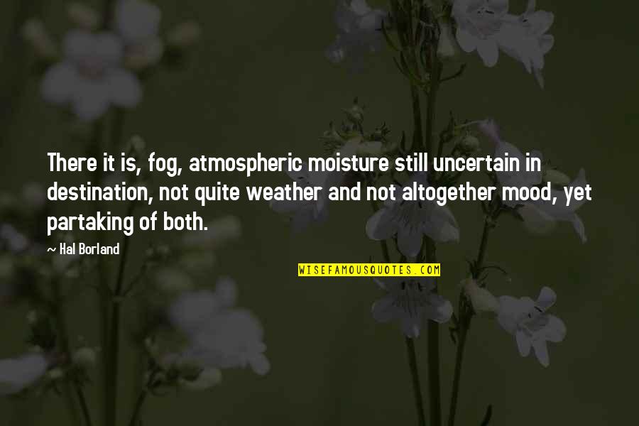 Wordings Quotes By Hal Borland: There it is, fog, atmospheric moisture still uncertain