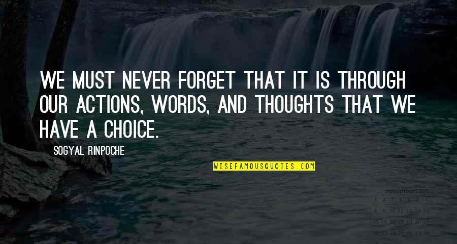 Words And Thoughts Quotes By Sogyal Rinpoche: We must never forget that it is through