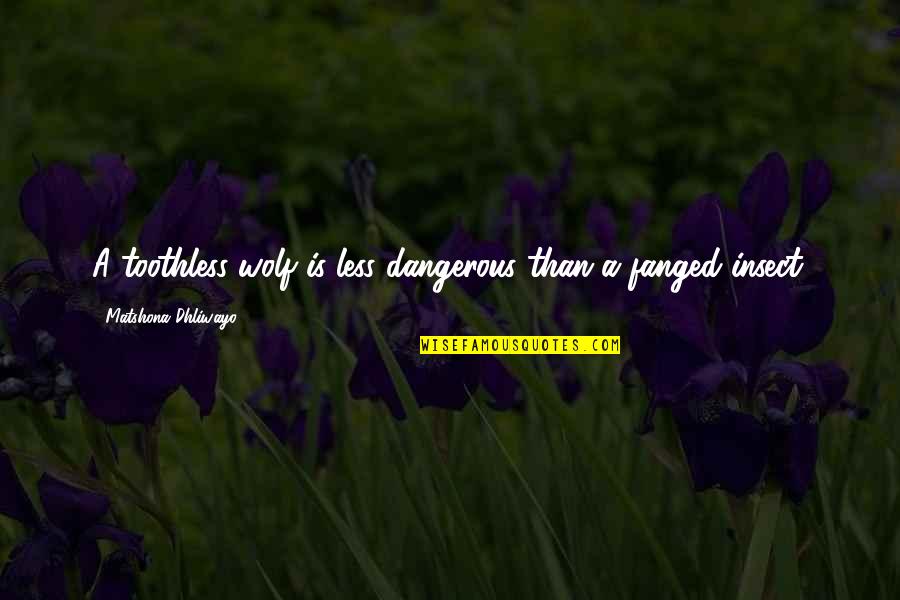 Words Are Dangerous Quotes By Matshona Dhliwayo: A toothless wolf is less dangerous than a