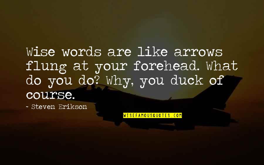 Words Are Like Quotes By Steven Erikson: Wise words are like arrows flung at your