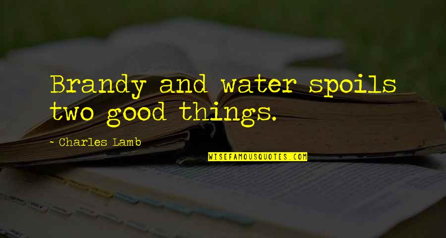 Words Are Like Weapons Quotes By Charles Lamb: Brandy and water spoils two good things.