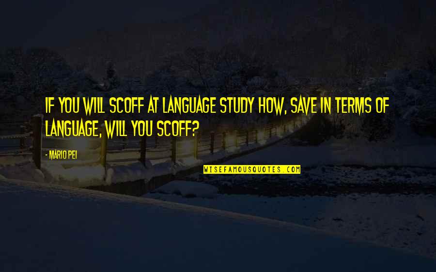 Words Are Not Enough Love Quotes By Mario Pei: If you will scoff at language study how,