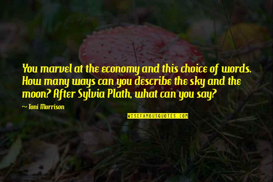 Words Can't Describe Quotes By Toni Morrison: You marvel at the economy and this choice