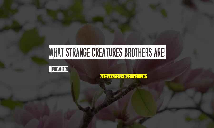Words Cut Like Knife Quotes By Jane Austen: What strange creatures brothers are!