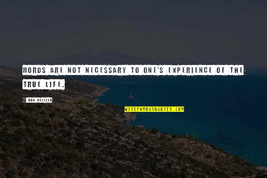 Words Experience Quotes By Don DeLillo: Words are not necessary to one's experience of