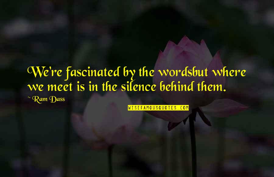 Words In Silence Quotes By Ram Dass: We're fascinated by the wordsbut where we meet