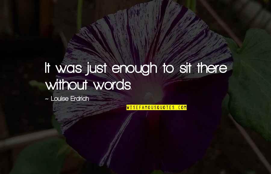 Words Is Not Enough Quotes By Louise Erdrich: It was just enough to sit there without
