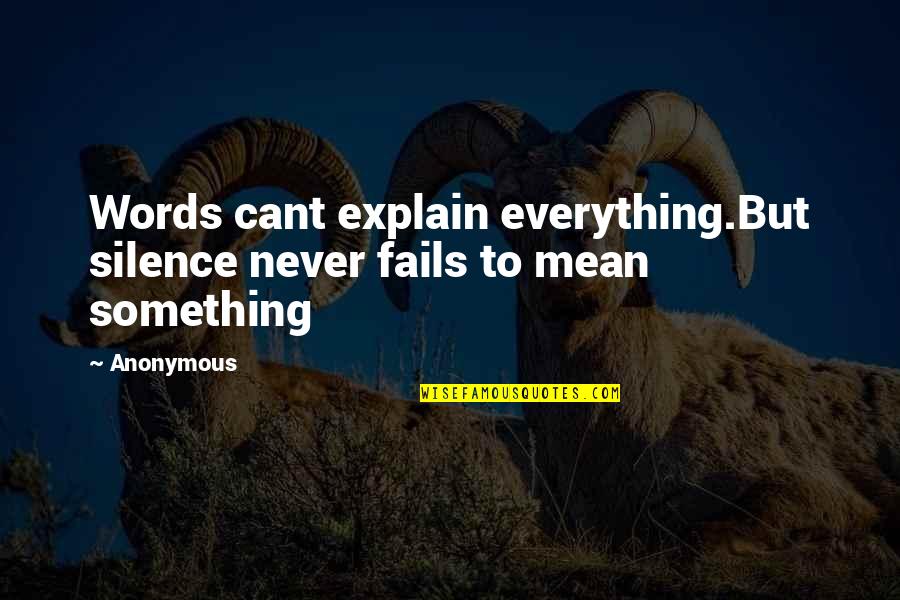 Words Mean Something Quotes By Anonymous: Words cant explain everything.But silence never fails to