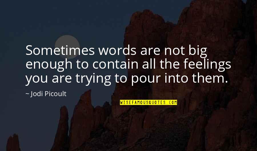 Words Not Enough Quotes By Jodi Picoult: Sometimes words are not big enough to contain