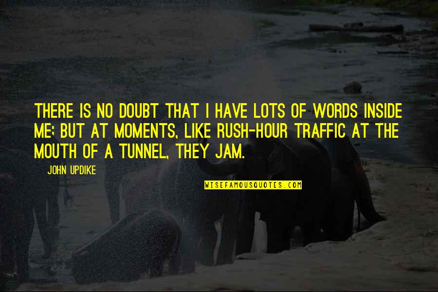 Words Of Mouth Quotes By John Updike: There is no doubt that I have lots