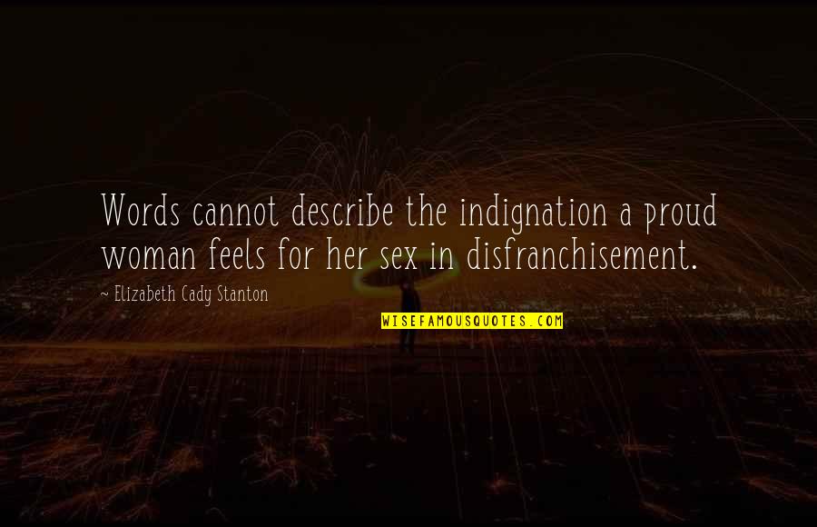 Words That Describe Quotes By Elizabeth Cady Stanton: Words cannot describe the indignation a proud woman