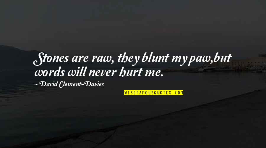 Words That Hurt Me Quotes By David Clement-Davies: Stones are raw, they blunt my paw,but words