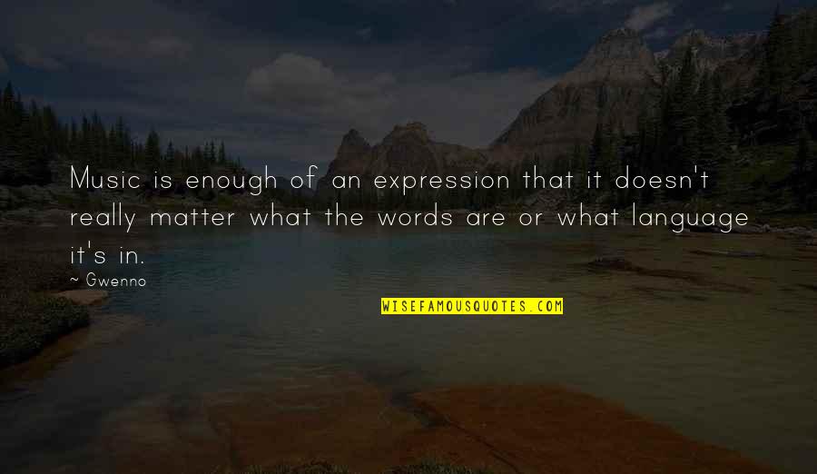 Words That Matter Quotes By Gwenno: Music is enough of an expression that it