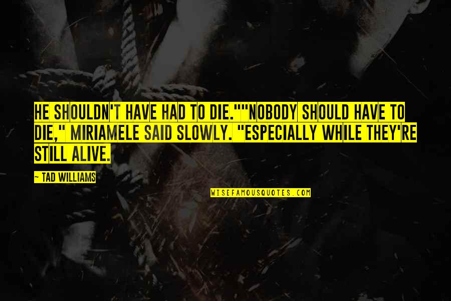 Words To Use When Explaining A Quote Quotes By Tad Williams: He shouldn't have had to die.""Nobody should have Words To Use When Explaining A Quote Quotes By Tad Williams: He shouldn't have had to die.""Nobody should have