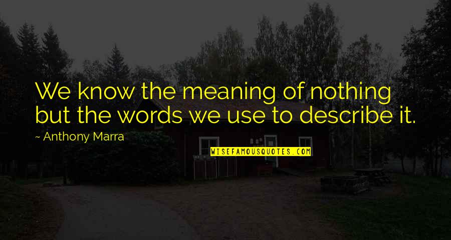 Words We Use Quotes By Anthony Marra: We know the meaning of nothing but the
