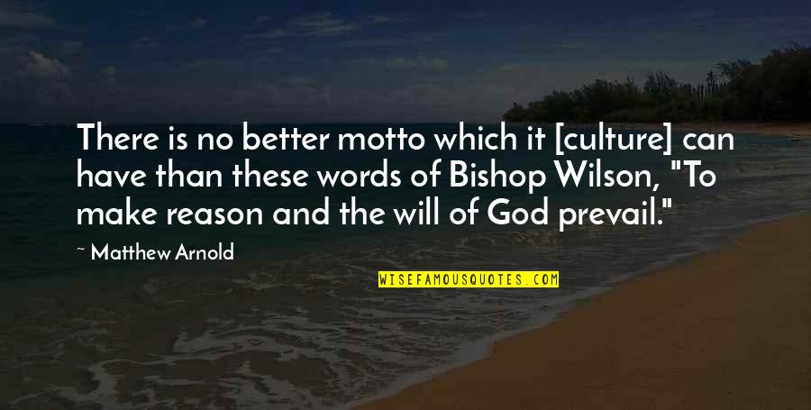 Words Which Quotes By Matthew Arnold: There is no better motto which it [culture]