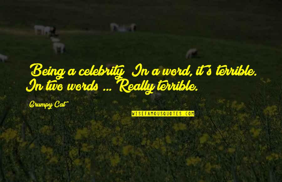 Words With Two Quotes By Grumpy Cat: [Being a celebrity] In a word, it's terrible.