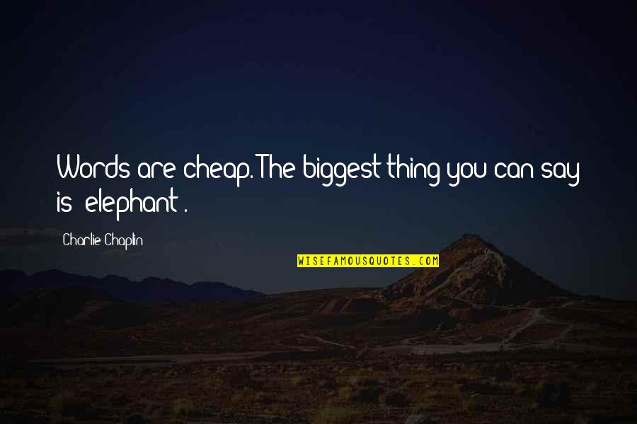 Words You Can't Say Quotes By Charlie Chaplin: Words are cheap. The biggest thing you can