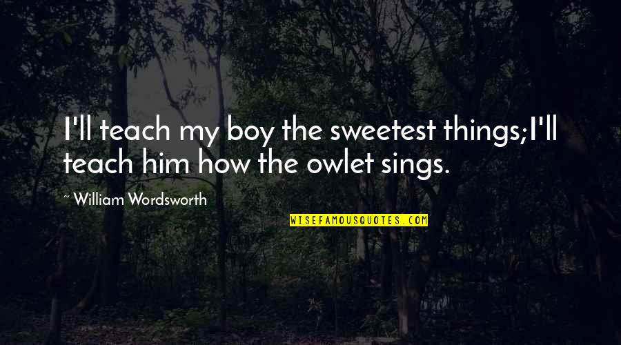 Wordsworth's Quotes By William Wordsworth: I'll teach my boy the sweetest things;I'll teach