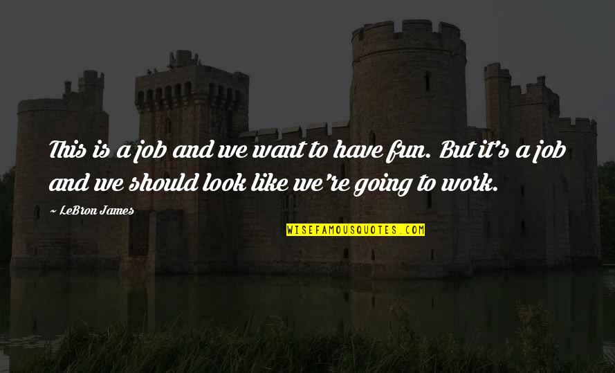 Work And Fun Quotes By LeBron James: This is a job and we want to