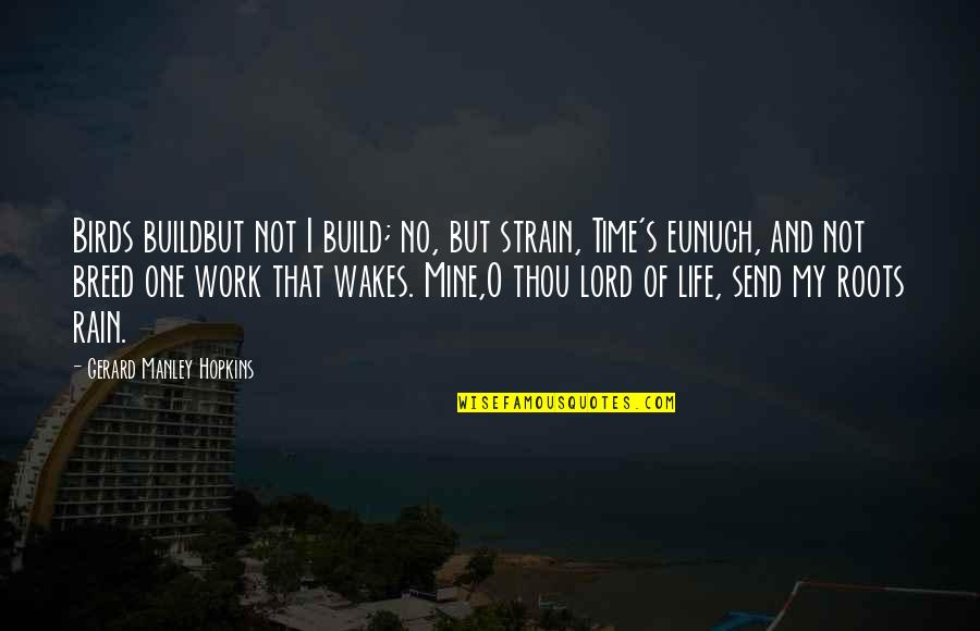 Work And Life Quotes By Gerard Manley Hopkins: Birds buildbut not I build; no, but strain,