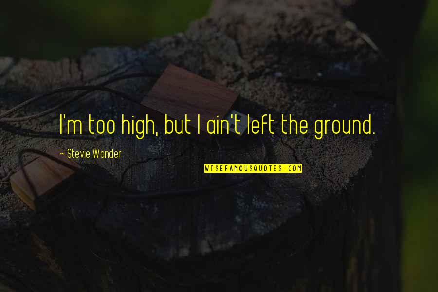Work And Social Life Quotes By Stevie Wonder: I'm too high, but I ain't left the