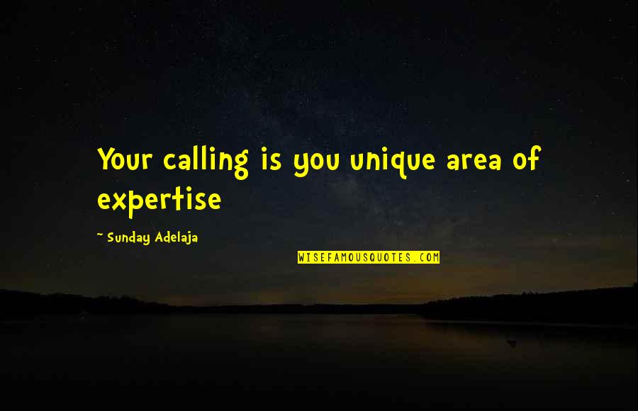 Work Area Quotes By Sunday Adelaja: Your calling is you unique area of expertise