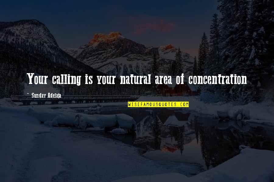 Work Area Quotes By Sunday Adelaja: Your calling is your natural area of concentration