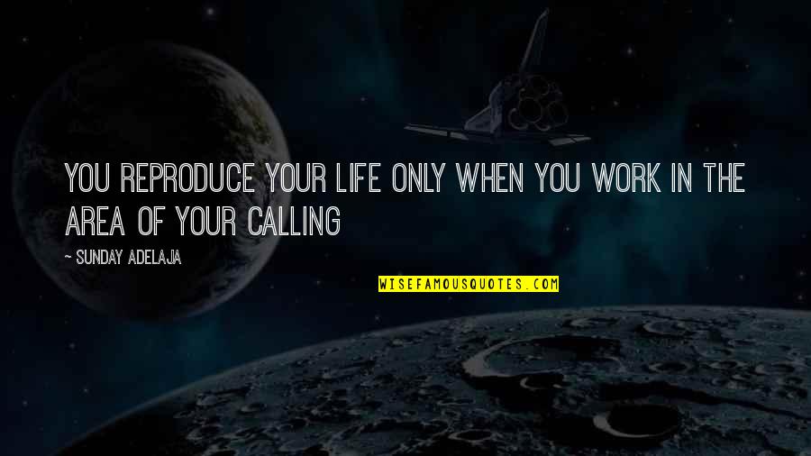 Work Area Quotes By Sunday Adelaja: You reproduce your life only when you work