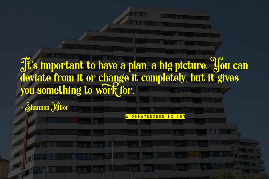Work Change Quotes By Shannon Miller: It's important to have a plan, a big