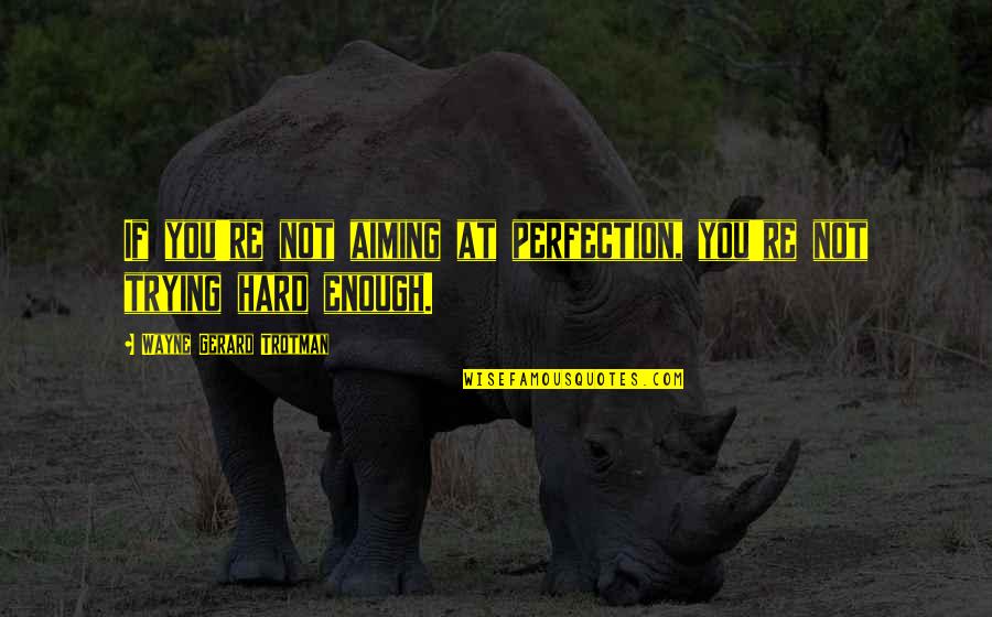 Work Ethic And Success Quotes By Wayne Gerard Trotman: If you're not aiming at perfection, you're not Work Ethic And Success Quotes By Wayne Gerard Trotman: If you're not aiming at perfection, you're not