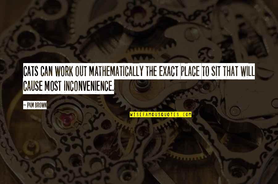 Work For Cause Quotes By Pam Brown: Cats can work out mathematically the exact place