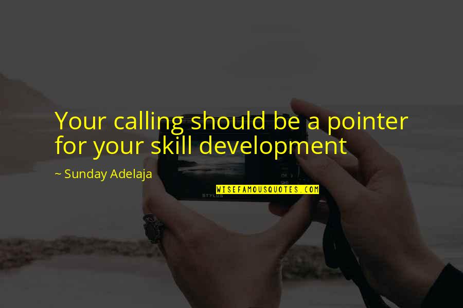 Work For Your Money Quotes By Sunday Adelaja: Your calling should be a pointer for your