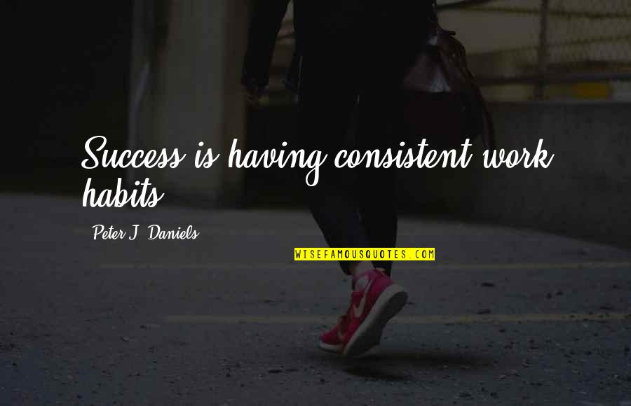 Work Habit Quotes By Peter J. Daniels: Success is having consistent work habits.